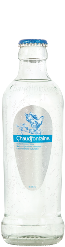 Chaudfontaine Still FLES 25cl