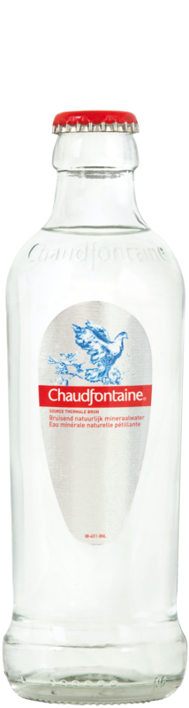 Chaudfontaine Sparkling FLES 25cl