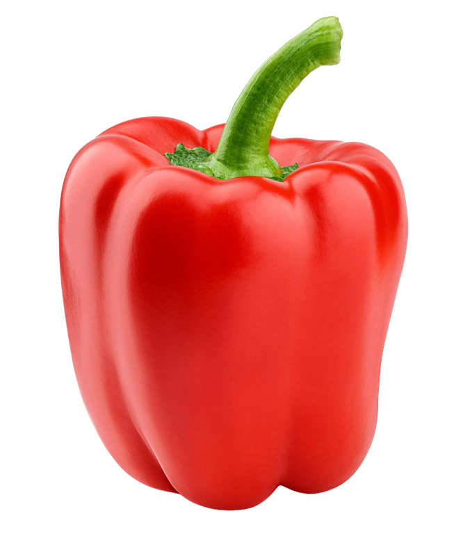 Paprika Rood