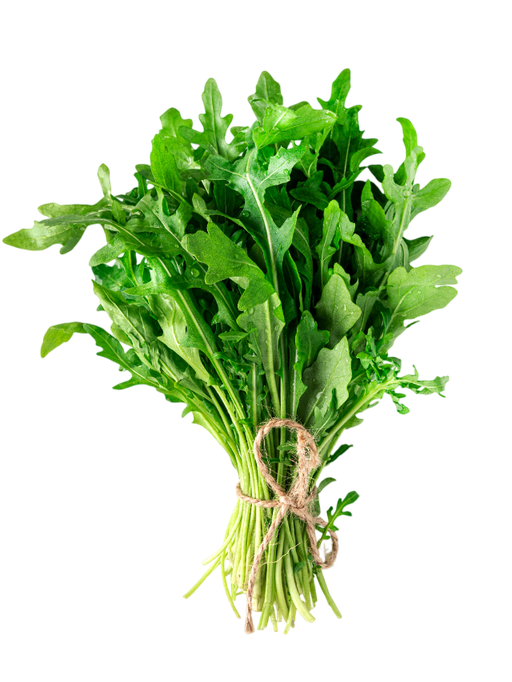 Rucola
