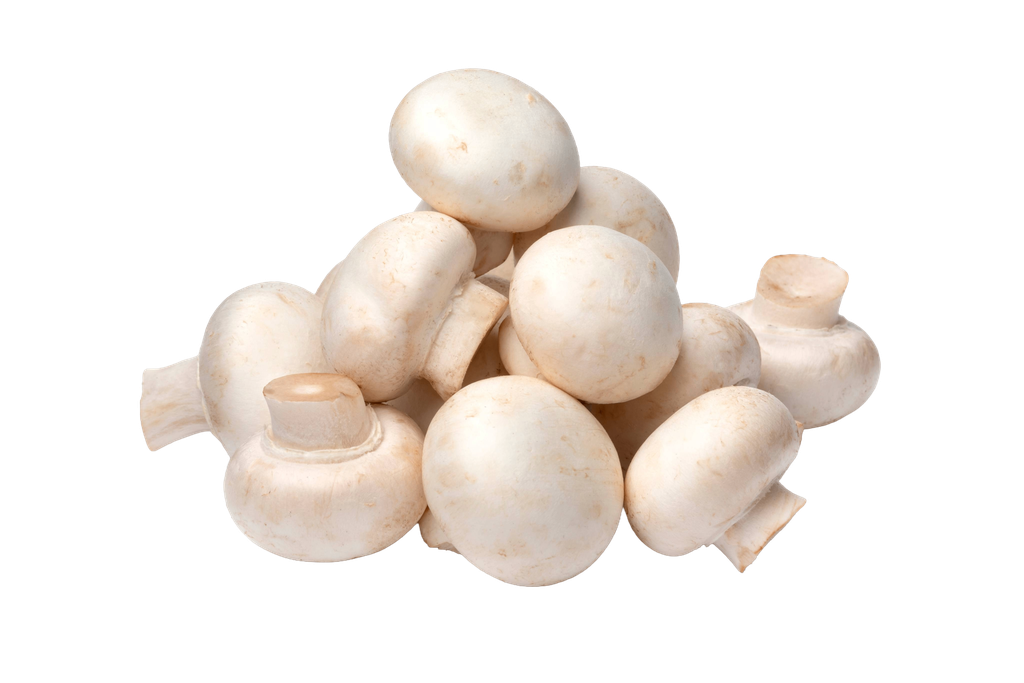 Champignons 2,5kg